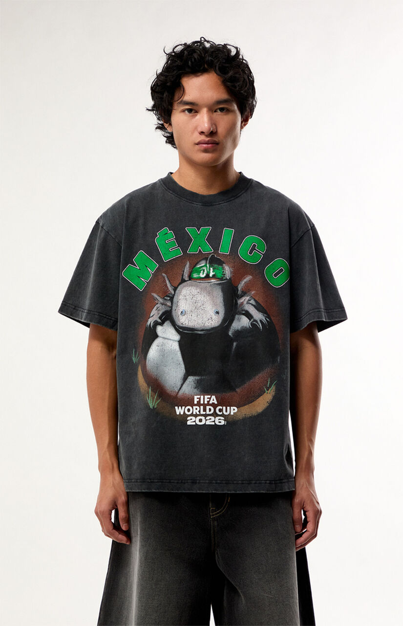 World Cup Team Mexico Dog T-Shirt