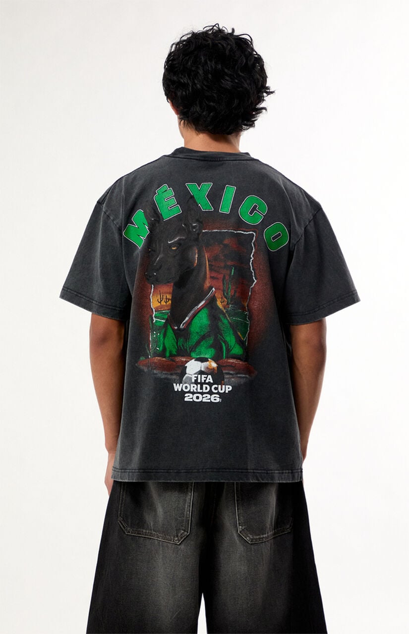 World Cup Team Mexico Dog T-Shirt