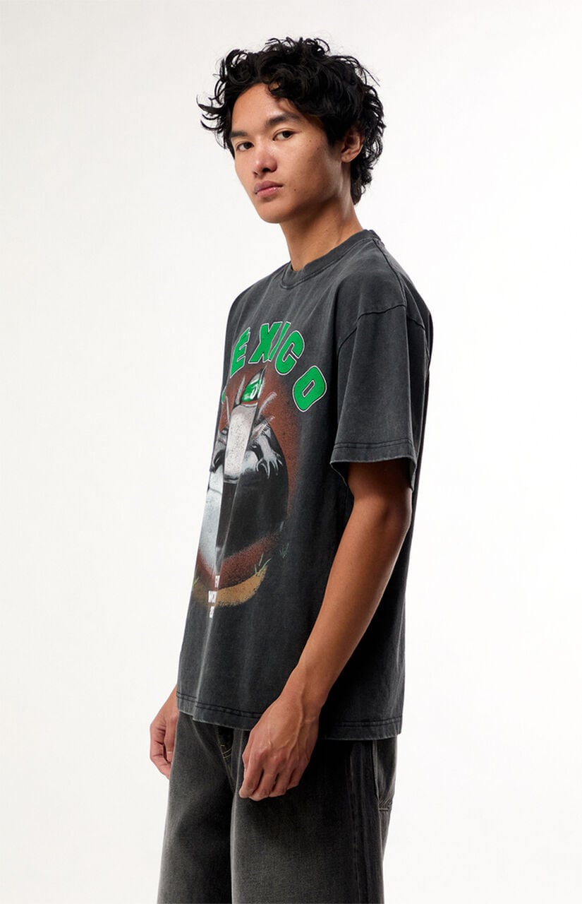 World Cup Team Mexico Dog T-Shirt
