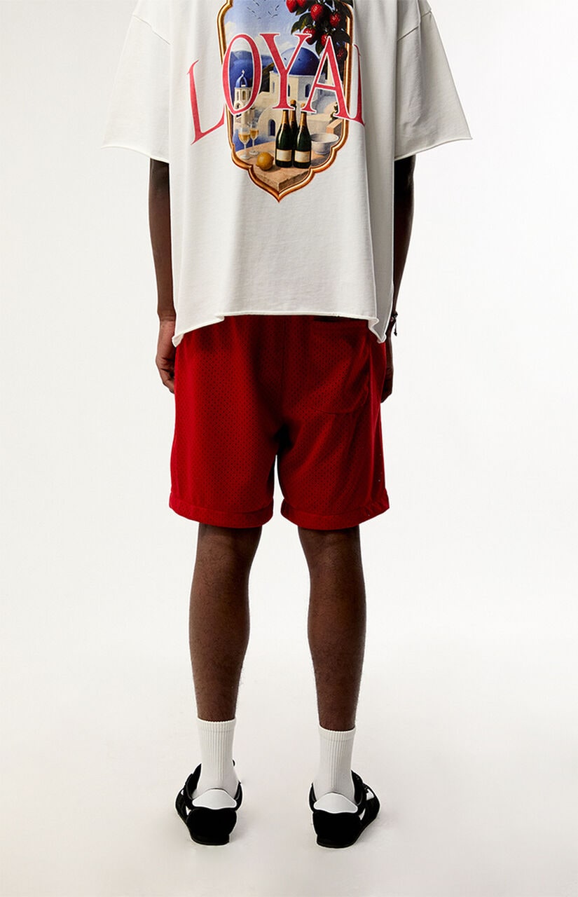 Red Mesh Shorts
