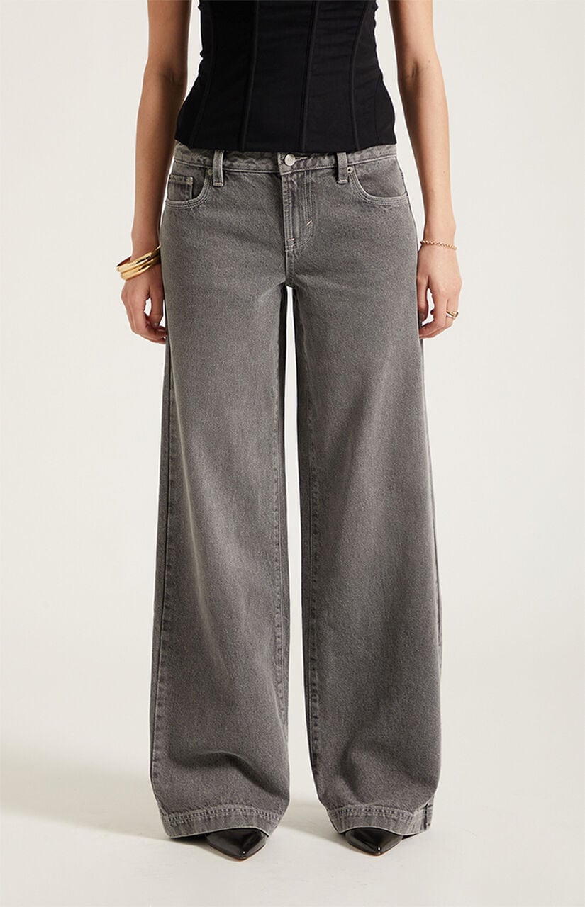 Casey Low Rise Baggy Jeans Gray